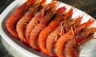 Gambes